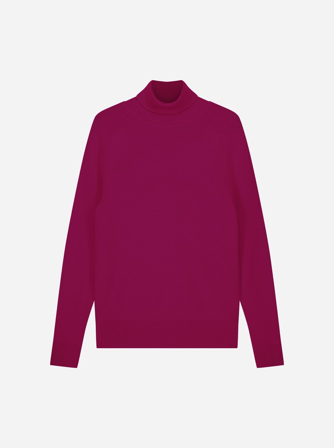 The Turtleneck Sweater from TEYM