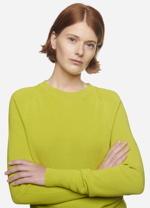 The Crewneck Sweater from TEYM