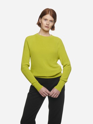 The Crewneck Sweater from TEYM