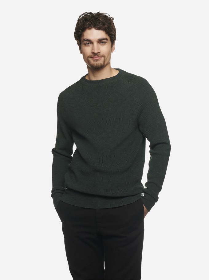 The Crewneck Sweater from TEYM