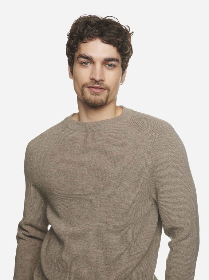 The Crewneck Sweater from TEYM