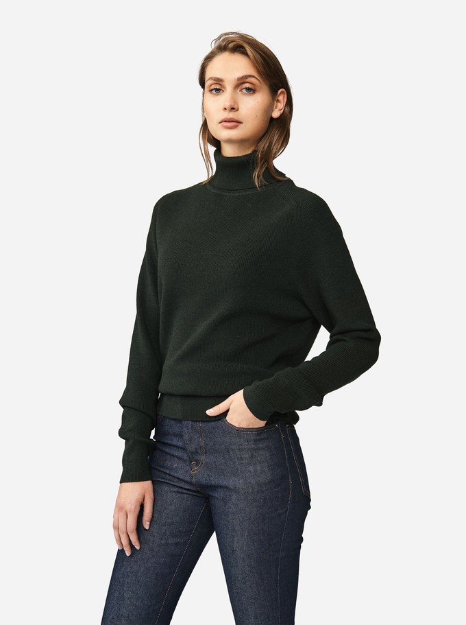 The Turtleneck Sweater from TEYM
