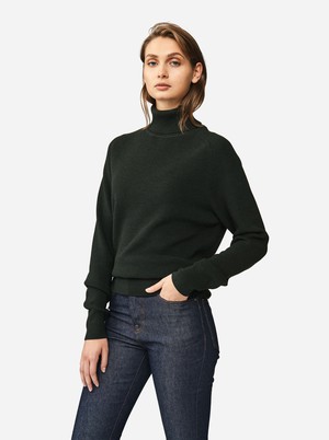 The Turtleneck Sweater from TEYM
