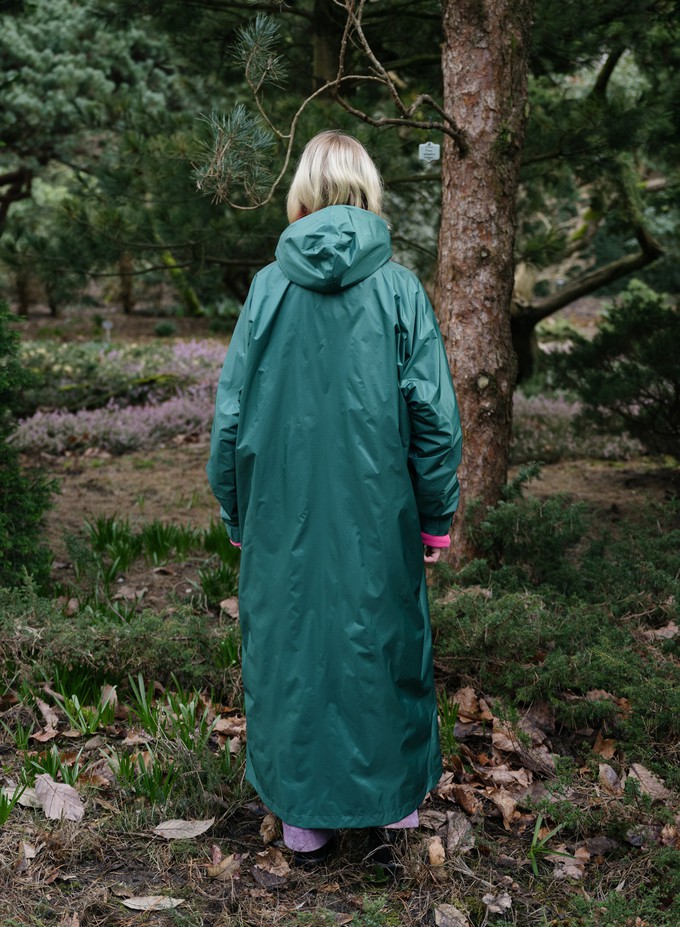 Susan Bijl | The New Raincoat Pine from The Blind Spot