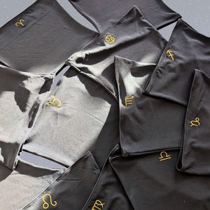 Embroidered Zodiac Tube Top from TIZZ & TONIC