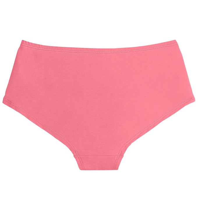 Desert Rose Organic Cotton Hipster Panty from TIZZ & TONIC