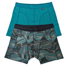 Tropic Two-Pack Boxer Briefs via TIZZ & TONIC