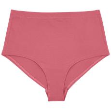 Desert Rose Organic Cotton Hi-Waist Panty (Lightweight Fit) via TIZZ & TONIC