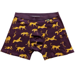 Cheetah Organic Cotton Boxer Brief from TIZZ & TONIC