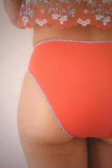Hazel High Leg Knicker via Troo