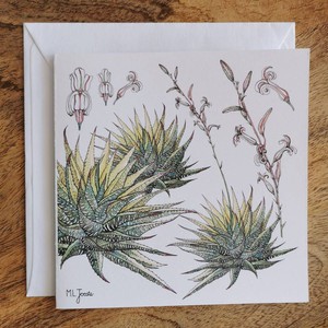 Single Fynbos Greeting Card from Urbankissed