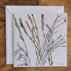 Single Fynbos Greeting Card from Urbankissed