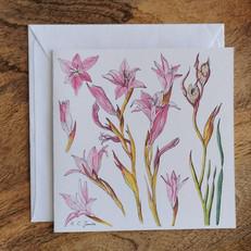 Single Fynbos Greeting Card via Urbankissed