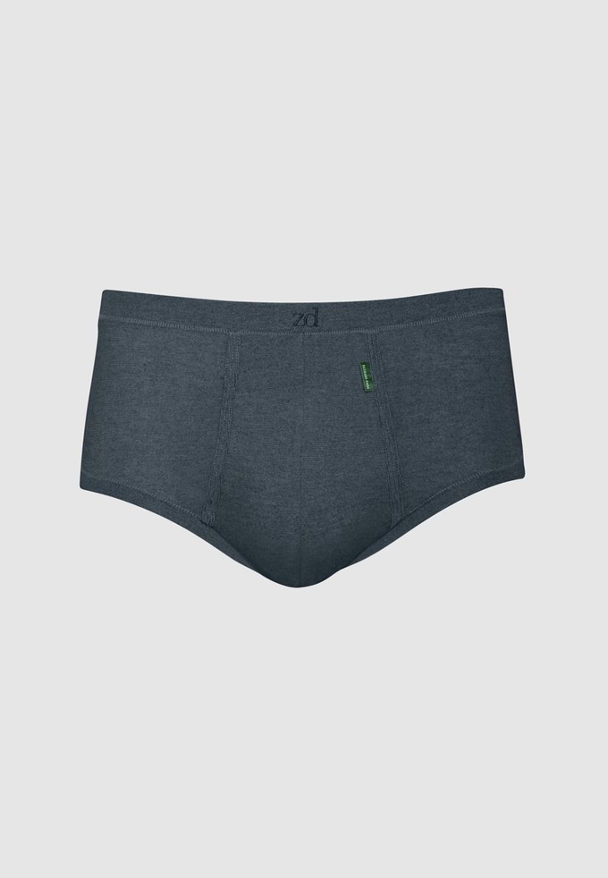 Senior fly front brief from ZD ZERO DEFECTS