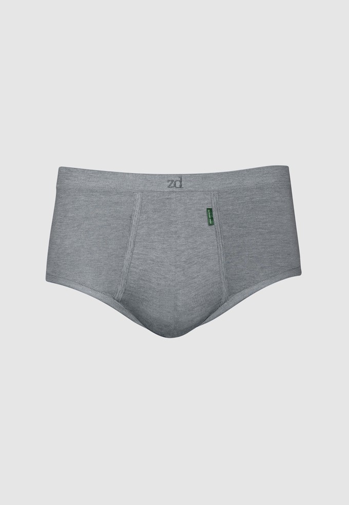 Senior fly front brief from ZD ZERO DEFECTS