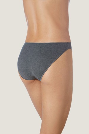 Venus mini brief from ZD ZERO DEFECTS