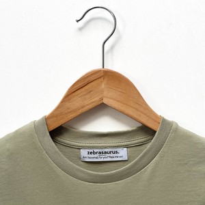 Kinder t-shirt ‘Horse-d’oeuvre’ | Sage green from zebrasaurus