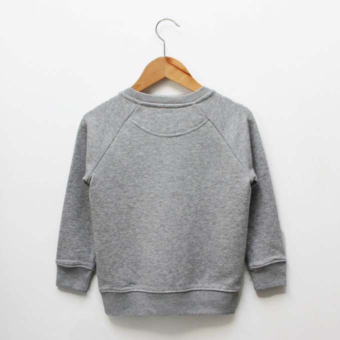 Kids sweater ‘Baggy dog’ | Grey melange from zebrasaurus