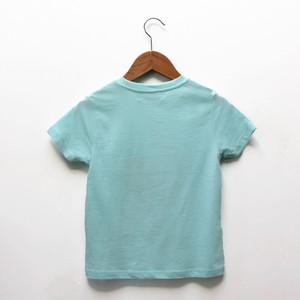 Kinder t-shirt ‘Horse-d’oeuvre’ | Aqua from zebrasaurus