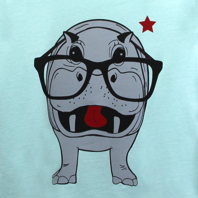 Kids t-shirt ‘Hippo opticmistic’ – Aqua from zebrasaurus