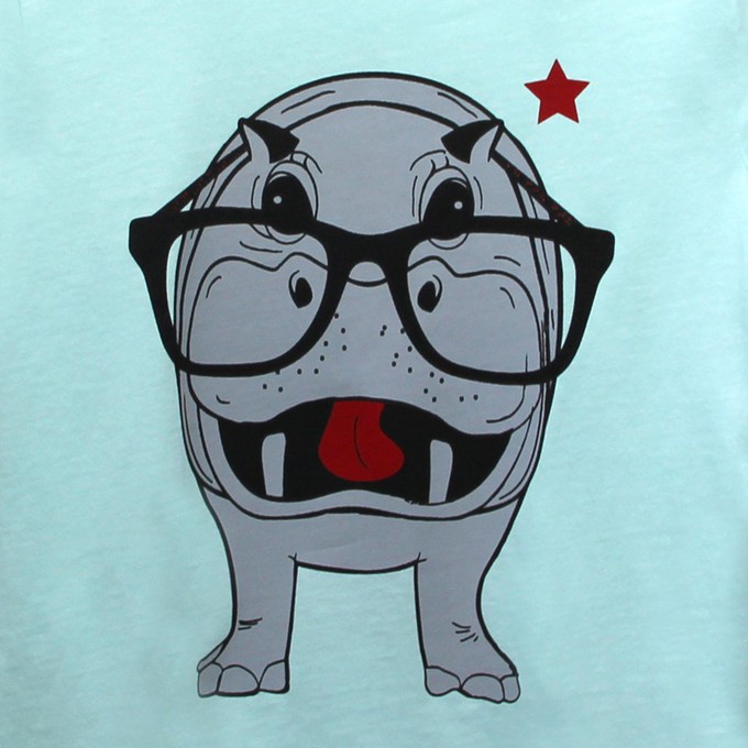 Kinder t-shirt ‘Hippo opticmistic’ – Aqua from zebrasaurus