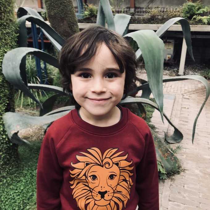 Kinder sweater ‘Oeh Lion’ – Burgundy from zebrasaurus
