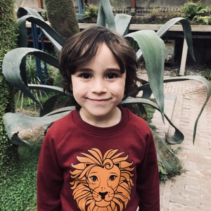 Kinder sweater ‘Oeh Lion’ – Burgundy from zebrasaurus