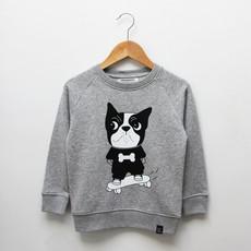 Kinder sweater ‘Baggy dog’ – Grey melange van zebrasaurus