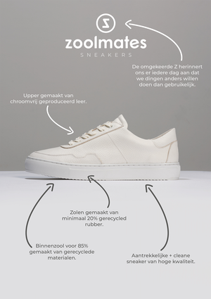 Sneaker man - TS01M from Zoolmates