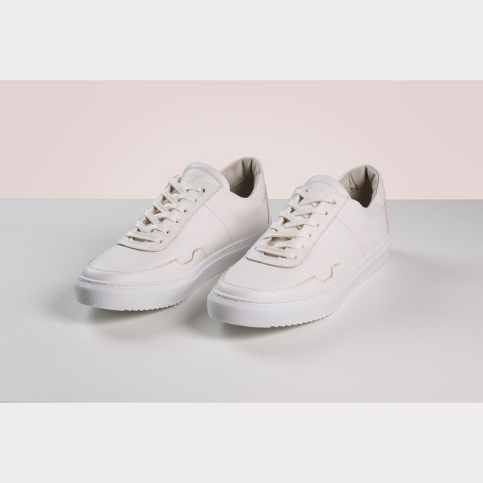 Sneaker vrouw - TS01V from Zoolmates