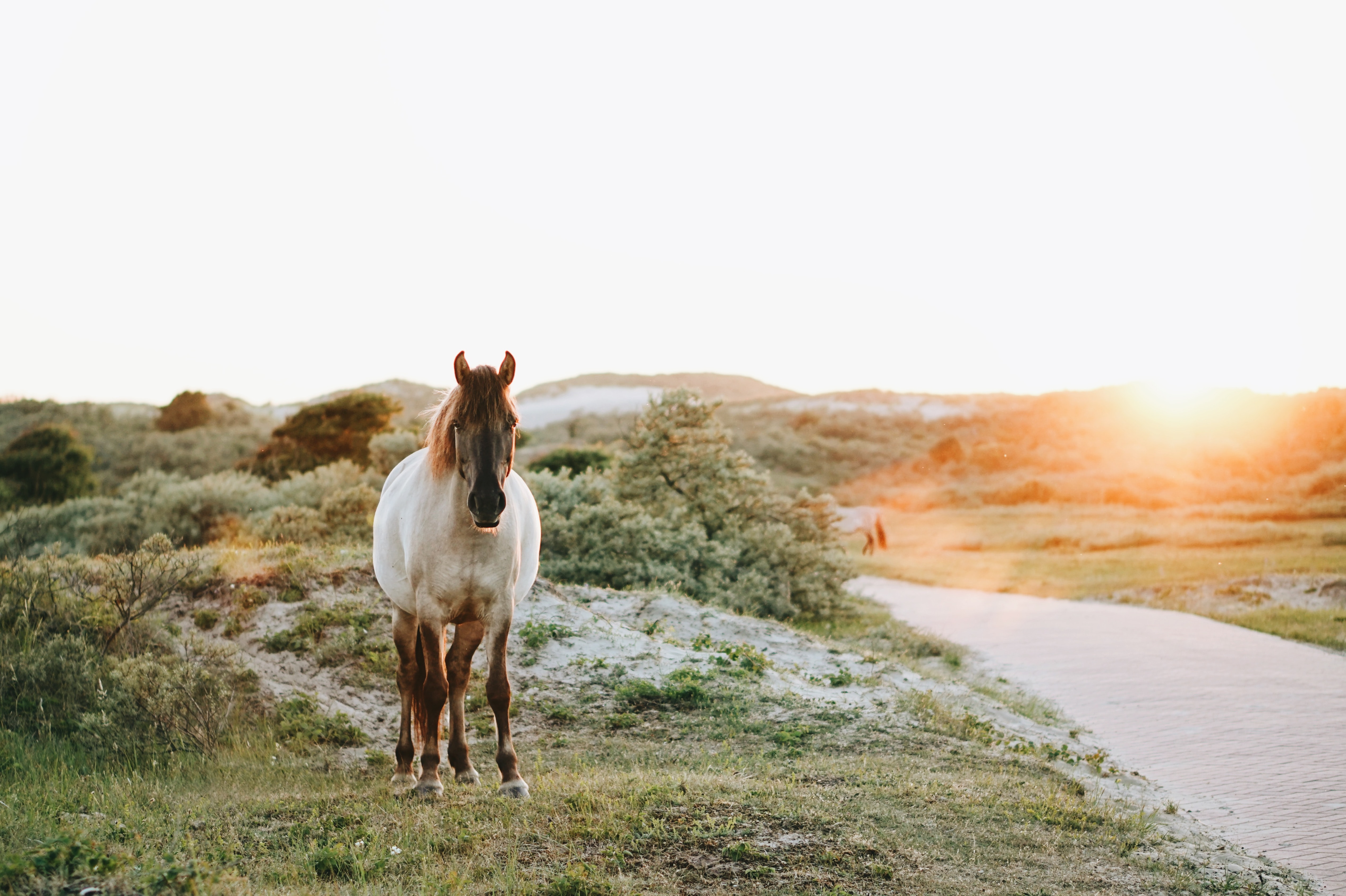 Op vakantie in Nederland? Dit zijn onze tips & tricks