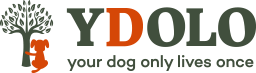 Logo YDOLO